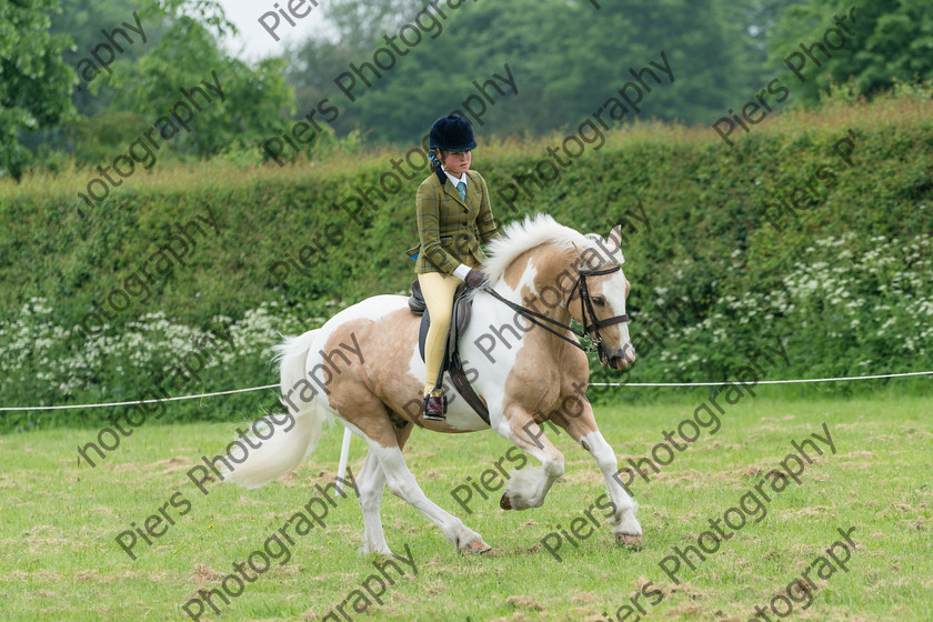 Ring 2 Afternoon 006 
 Naphill Riding Club Open Show 
 Keywords: Naphill Riding Club, Open Show, Equestrian, Piers Photography,
Bucks Wedding Photographer