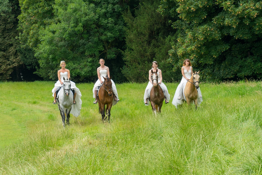 WWE Bridal Horse shoot 036 
 West Wycombe Horse shoot 
 Keywords: Buckinghamshire wedding photographer, Horses, Piers Photo, Summer, West Wycombe House