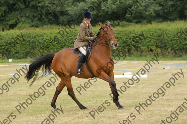 Ridden Veteran Horse 022 
 NRCS Class 23 Ridden Veteran Horse