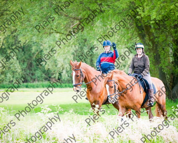 NRCWWE09 034 
 Naphill Riding Club West Wycombe Ride 09 
 Keywords: Naphill Riding Club, West Wycombe Estate