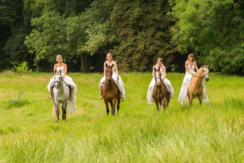 WWE Bridal Horse shoot 011 
 West Wycombe Horse shoot 
 Keywords: Buckinghamshire wedding photographer, Horses, Piers Photo, Summer, West Wycombe House