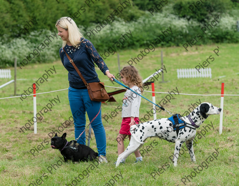 NRC Dog Show 044 
 Naphill Riding Club Open Show 
 Keywords: Naphill Riding Club, Open Show, Equestrian, Piers Photography, Bucks Wedding Photographer