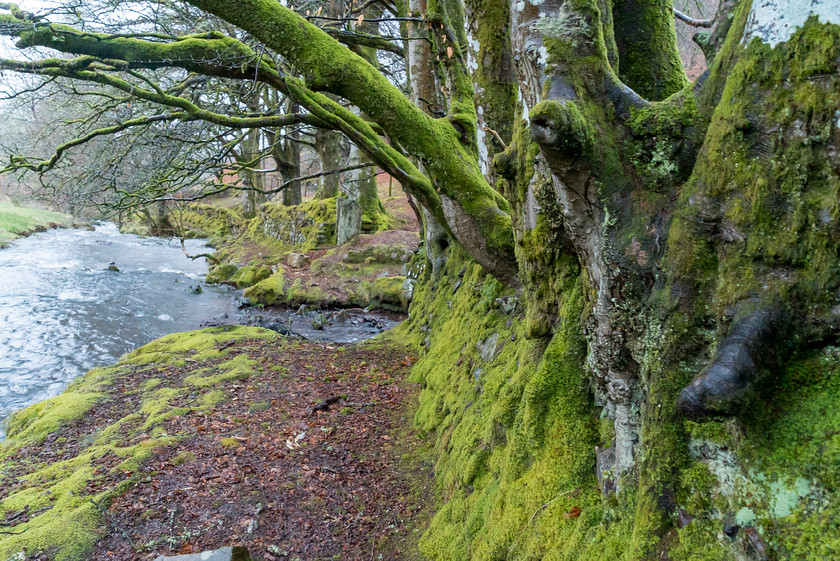 Exmoor 011 
 Exmoor 
 Keywords: Buckinghamshire wedding photographer, Exford, Exmoor, Piers Photography, Robbers Bridge