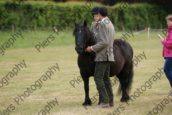 Leading Rein 34 
 NRCS Class 17 Leading Rein