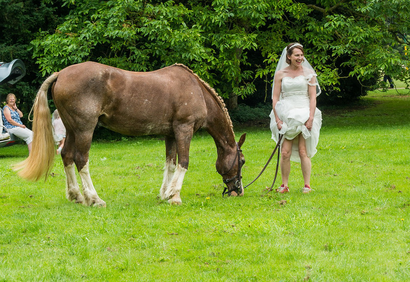 WWE Bridal BHS 055 
 West Wycombe Horse shoot 
 Keywords: Buckinghamshire wedding photographer, Horses, Piers Photo, Summer, West Wycombe House