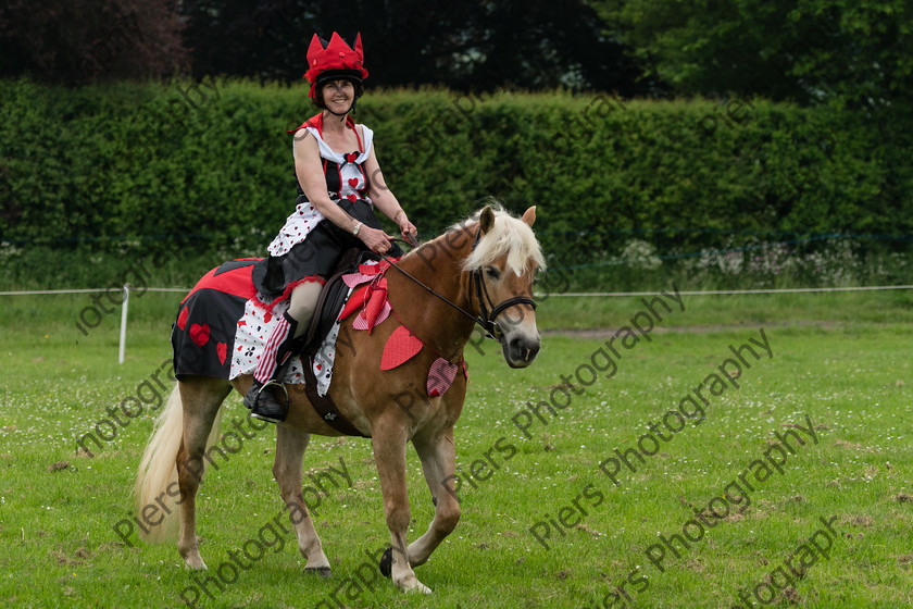 Fancy Dress 002 
 Naphill Riding Club Open Show 
 Keywords: Naphill Riding Club,Open Show, Equestrian, Piers Photography, Bucks Wedding Photographer