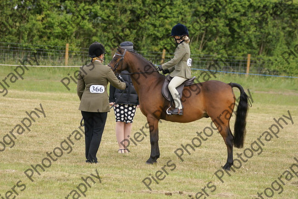 Leading Rein 05 
 NRCS Class 17 Leading Rein