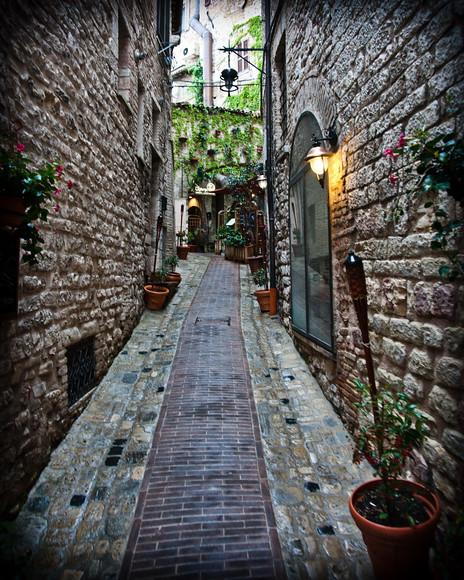 Italian Hols 119 
 Assisi 
 Keywords: Assisi, Hilder family holiday, Italy, Piers Photo.