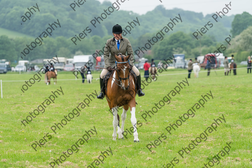 Ring 2 Afternoon 037 
 Naphill Riding Club Open Show 
 Keywords: Naphill Riding Club, Open Show, Equestrian, Piers Photography,
Bucks Wedding Photographer