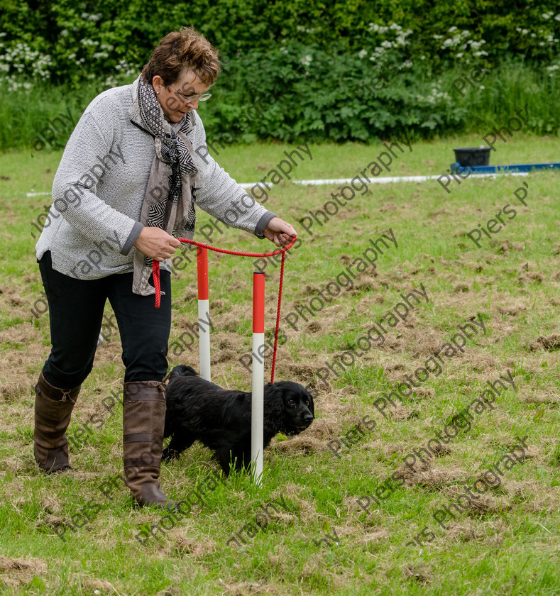 NRC Dog Show 076 
 Naphill Riding Club Open Show 
 Keywords: Naphill Riding Club, Open Show, Equestrian, Piers Photography, Bucks Wedding Photographer