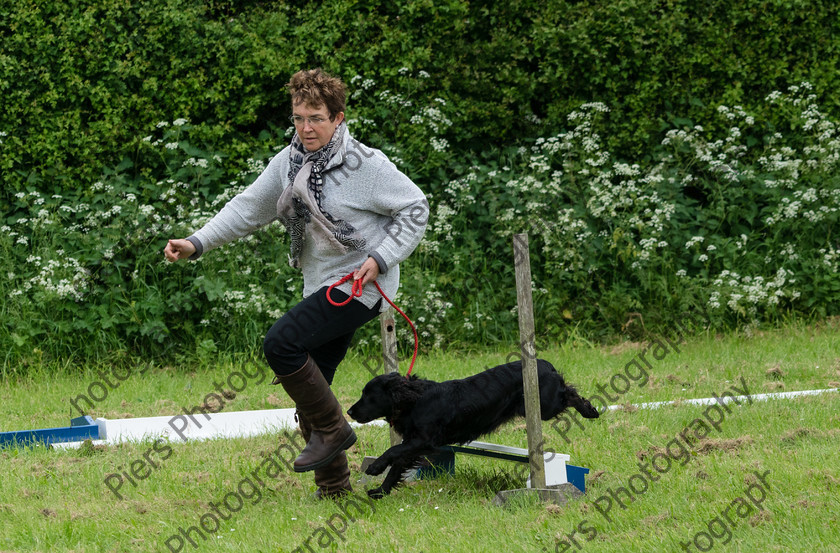 NRC Dog Show 065 
 Naphill Riding Club Open Show 
 Keywords: Naphill Riding Club, Open Show, Equestrian, Piers Photography, Bucks Wedding Photographer