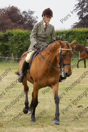 Ridden Veteran Horse 017 
 NRCS Class 23 Ridden Veteran Horse