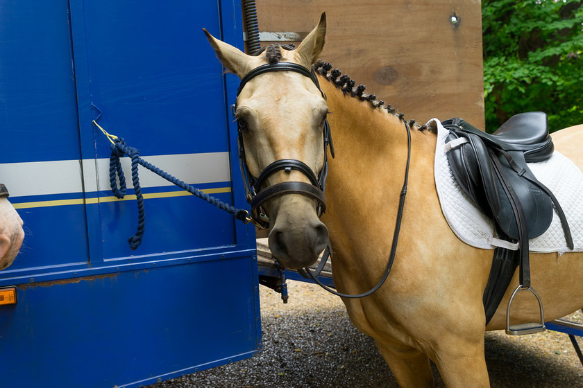 WWE Bridal BHS 015 
 West Wycombe Horse shoot 
 Keywords: Buckinghamshire wedding photographer, Horses, Piers Photo, Summer, West Wycombe House